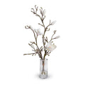 Tulip Magnolia Branches in Glass 28"