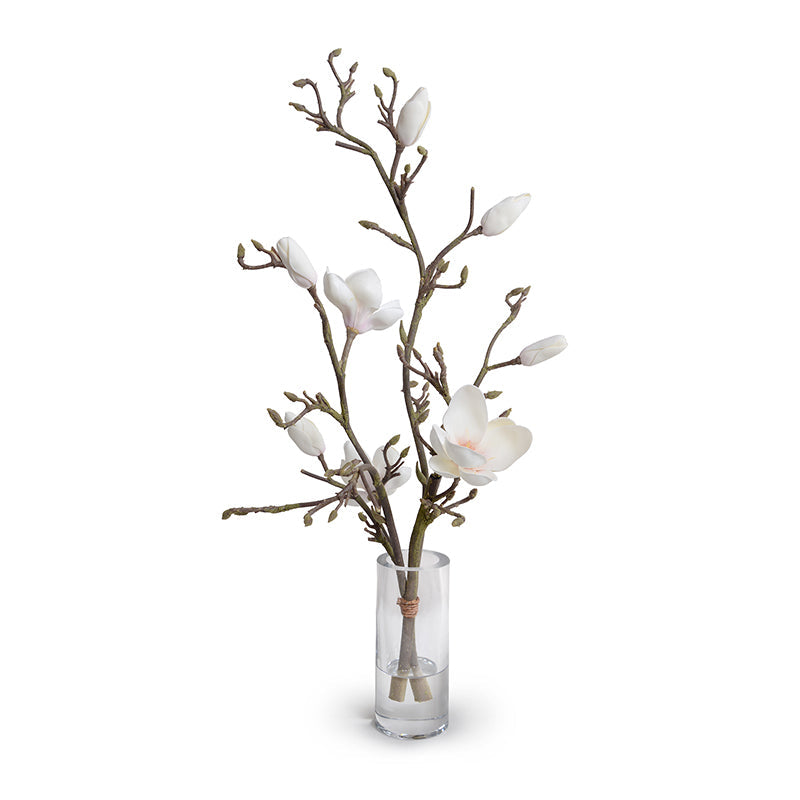 Tulip Magnolia Branches in Glass 28"