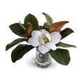 Magnolia Blossom 11"H