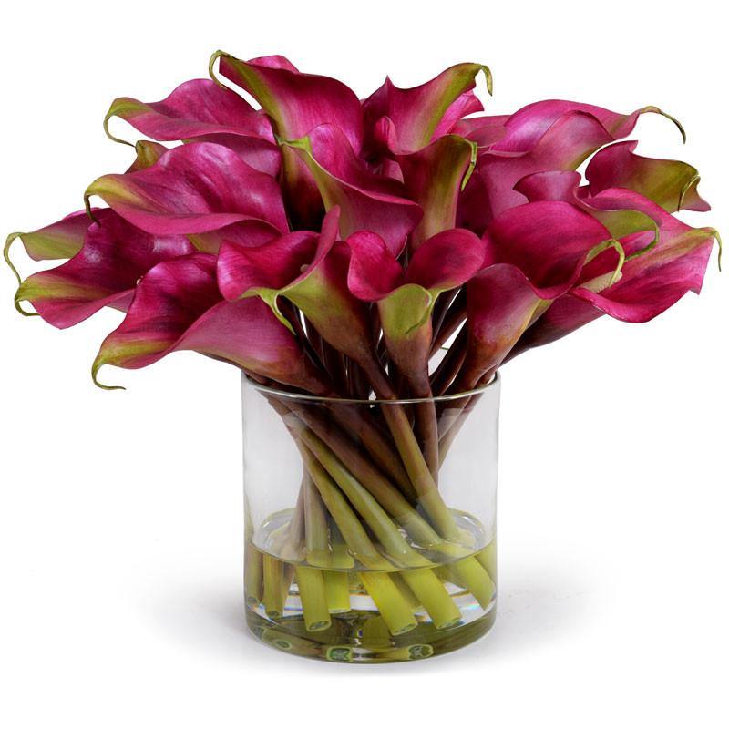 Calla Lily Stems in Glass 12"H Burgundy
