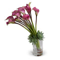 Calla Lily with Succulent Collar in Glass 30"H Burgundy