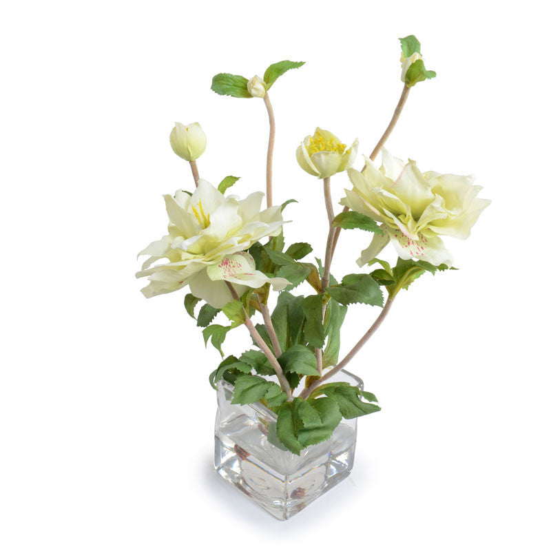 Lenten Rose in Glass 11"H