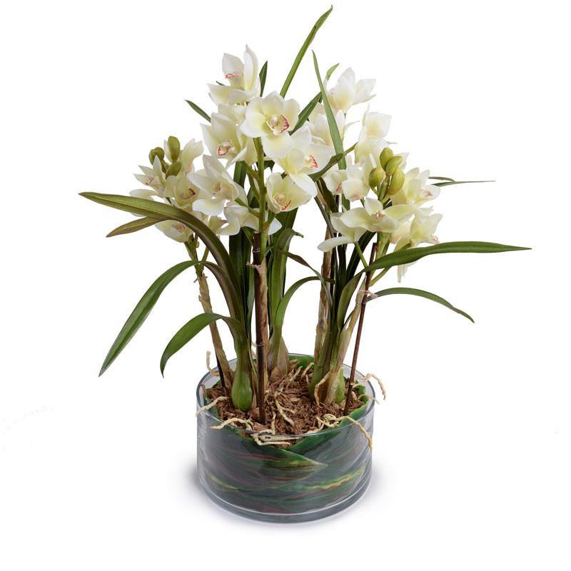 Cymbidium Orchid Leaf-It 26"H White