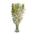 Tuberose Arrangement in Glass 27"H