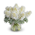 Hyacinth & Euphorbia Arrangement 14"H