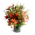 Tropical Splendor Arrangement Leaf-It 40"H