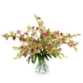 Cymbidium Orchid Cutting 19"H