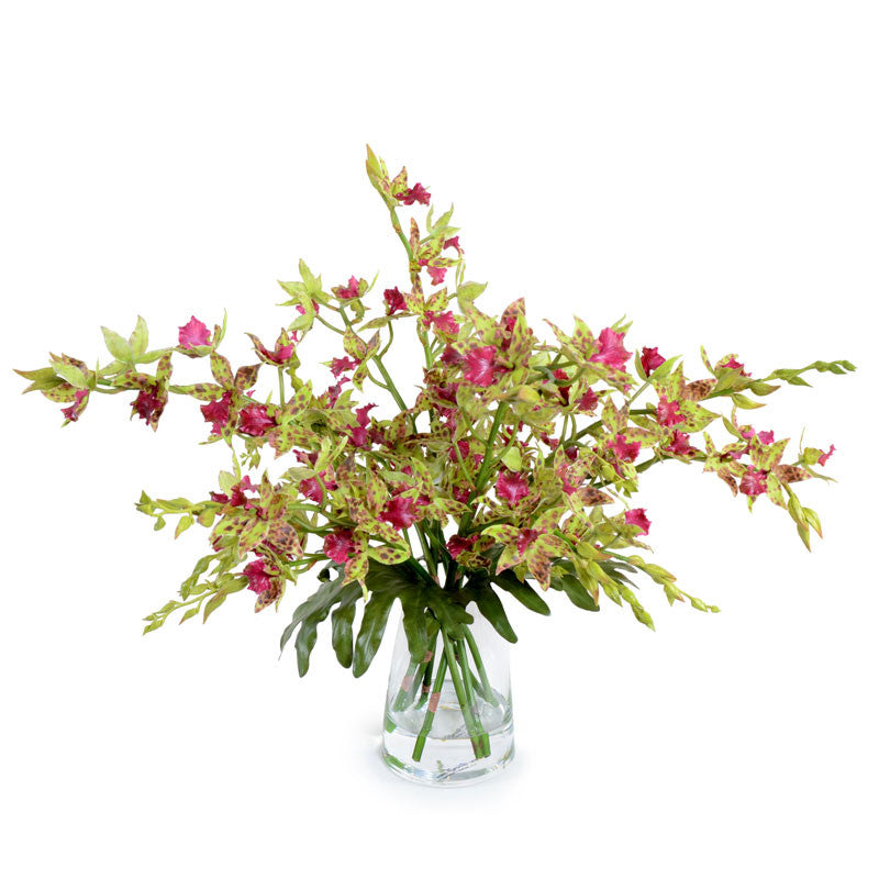 Cymbidium Orchid Cutting 19"H