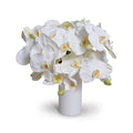 Phalaenopsis Orchids in Porcelain Vase 15"H
