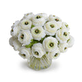 Ranunculus Bouquet in Glass 11"H Cream White