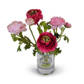 Ranunculus in 4" Glass Cylinder 11"H Assorted Pinks