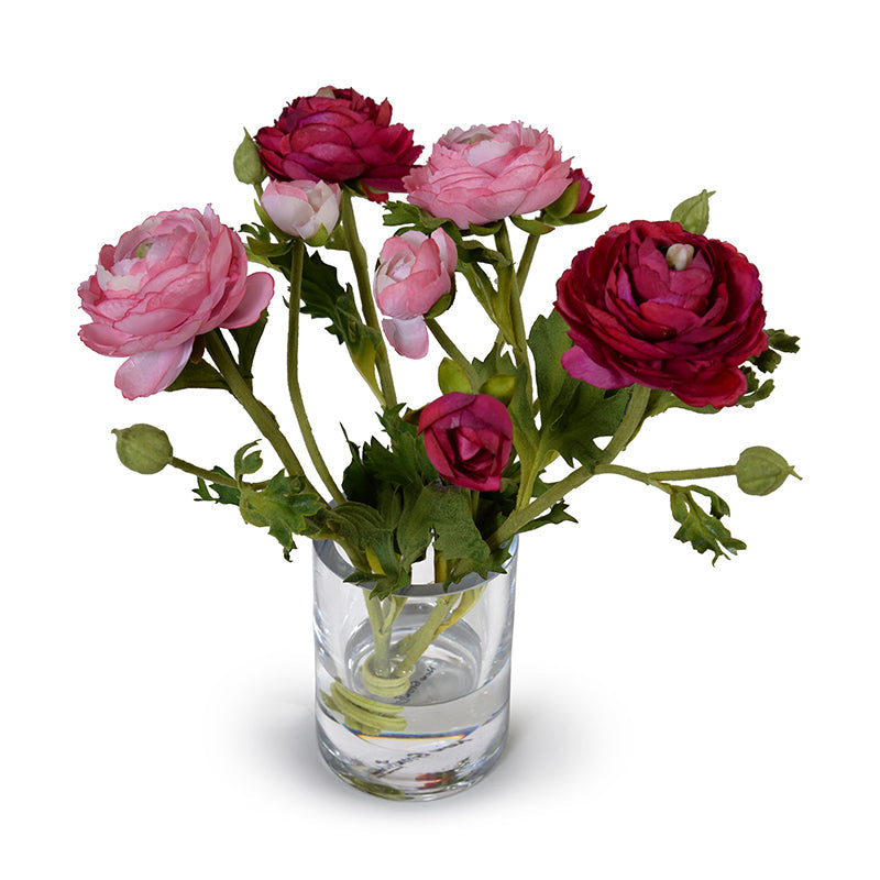 Ranunculus in 4" Glass Cylinder 11"H Pink
