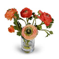 Ranunculus in 4" Glass Cylinder 11"H Orange-red