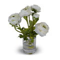 Ranunculus in 4" Glass Cylinder 11"H White