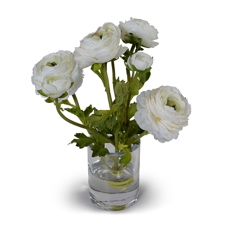 Ranunculus in 4" Glass Cylinder 11"H White
