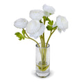 Ranunculus in 7" Glass Cylinder 15"H