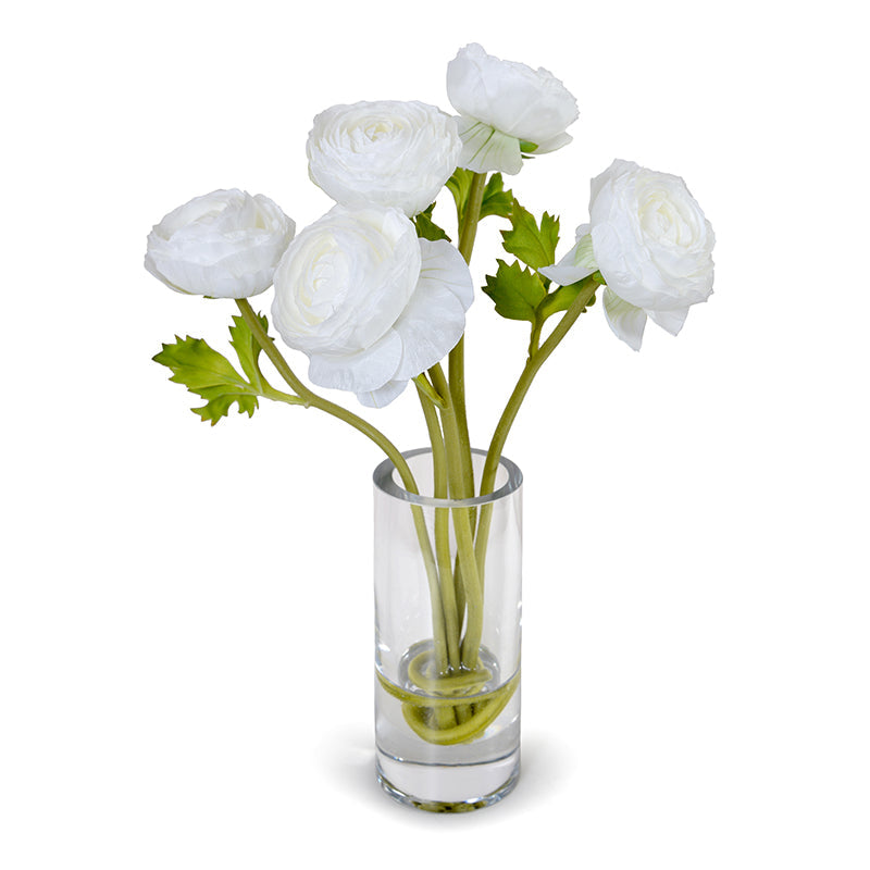 Ranunculus in 7" Glass Cylinder 15"H