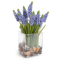 Grape Hyacinth in Glass 8"H
