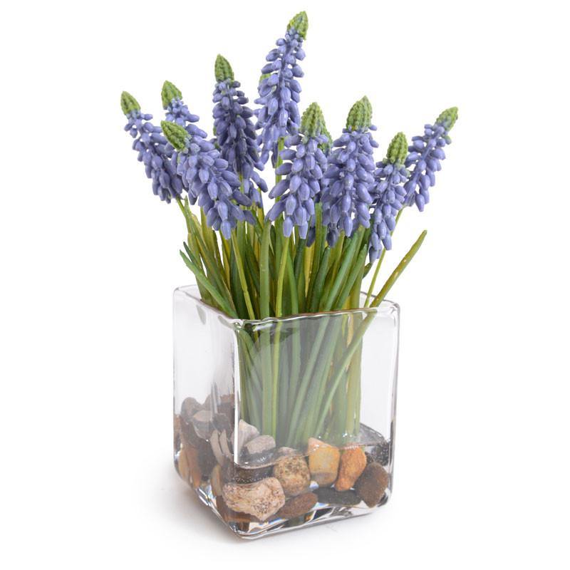 Grape Hyacinth in Glass 8"H