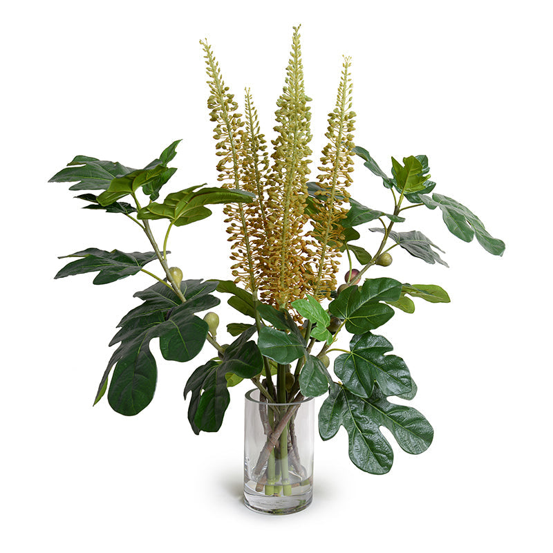 Eremurus & Fig Branches 32"H