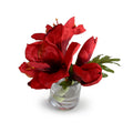 Amaryllis Cutting 9"H Red