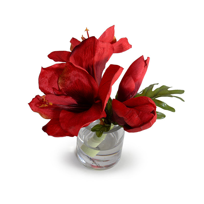 Amaryllis Cutting 9"H Red