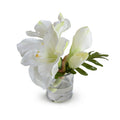 Amaryllis Cutting 9"H White