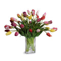 Tulips in Glass 24"H Assorted