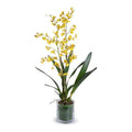 Oncidium Orchid Leaf-It 36"H