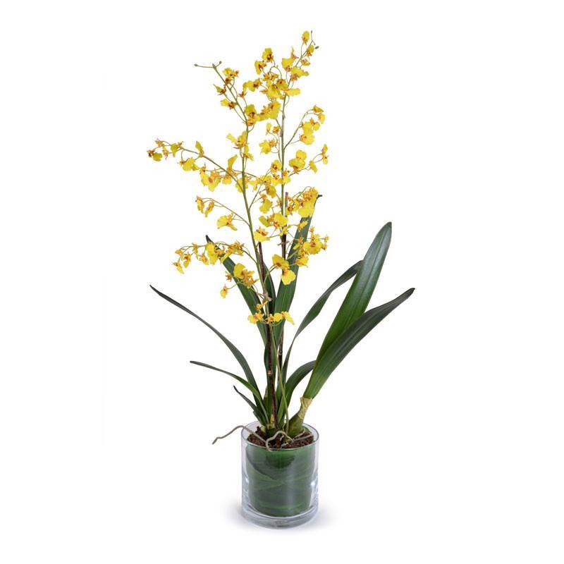 Oncidium Orchid Leaf-It 36"H