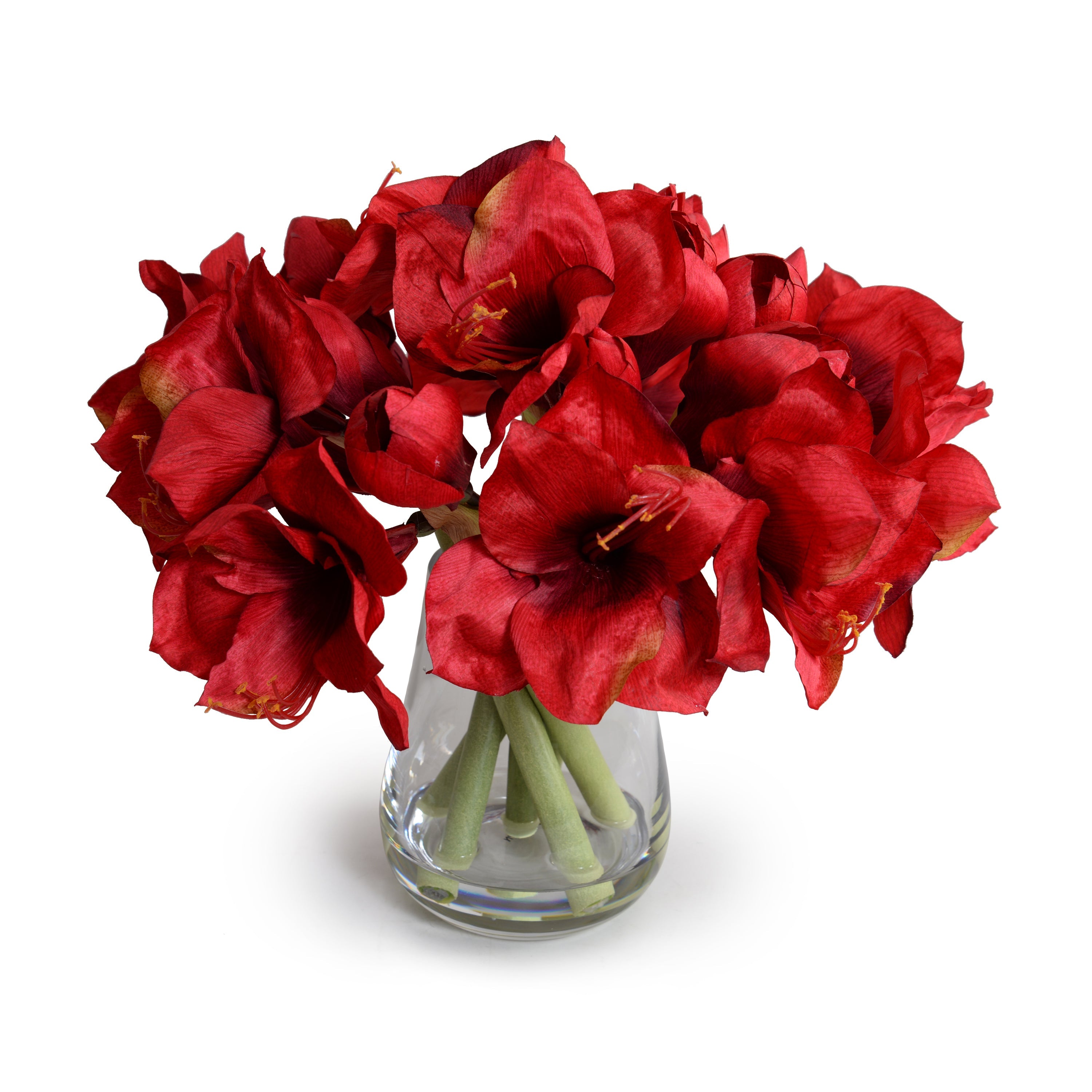 Amaryllis Arrangement 15"H Red
