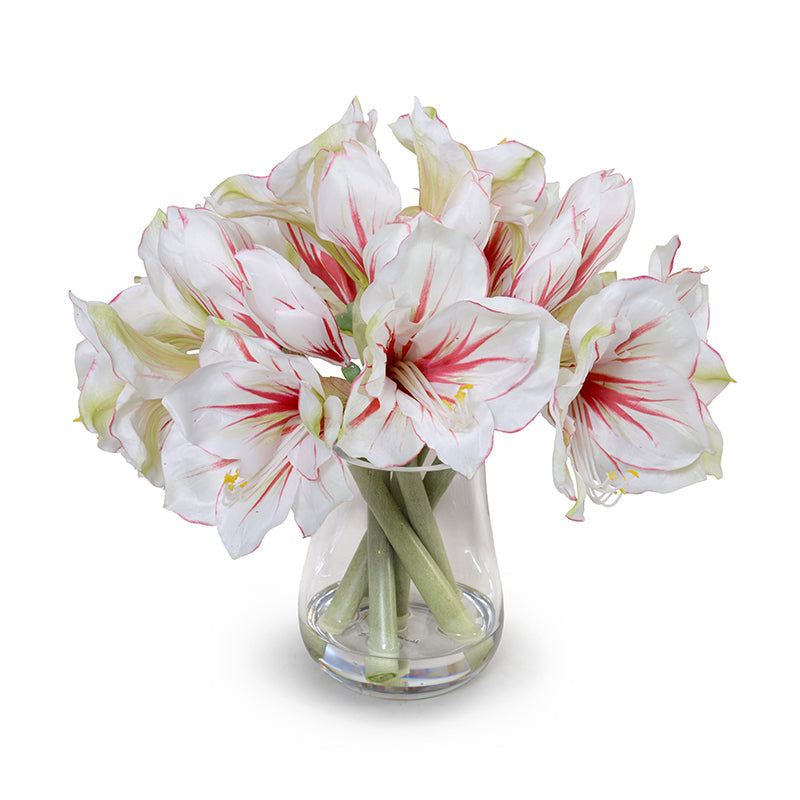 Amaryllis Arrangement 15"H Red-white