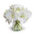 Amaryllis Arrangement 15"H White