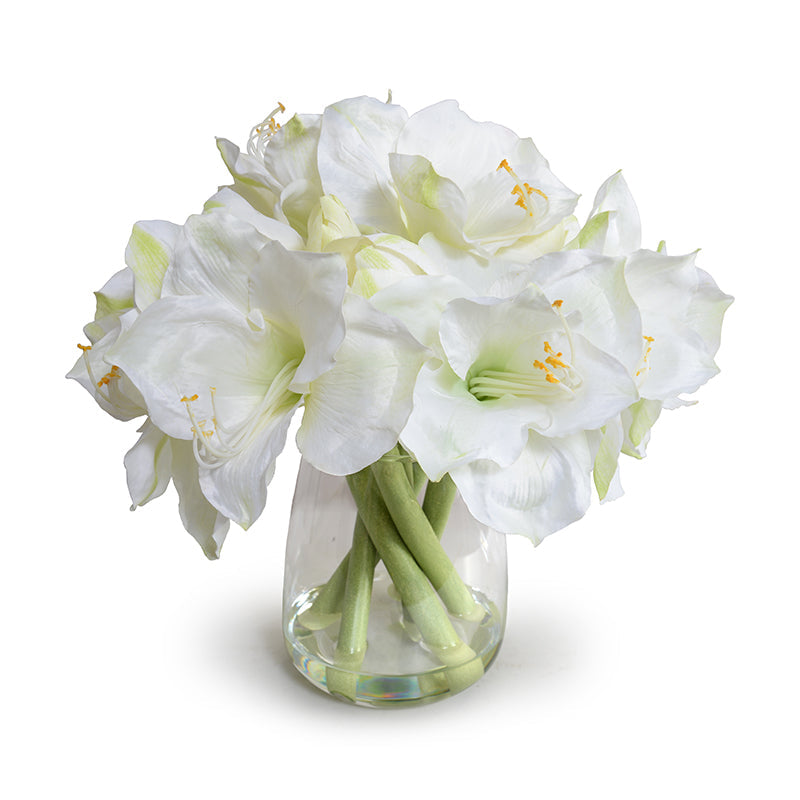 Amaryllis Arrangement 15"H White