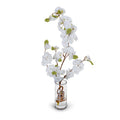 Cherry Blossoms in Glass 24"H White