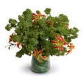 Viburnum & Gloriosa Lily in Glass 18"H