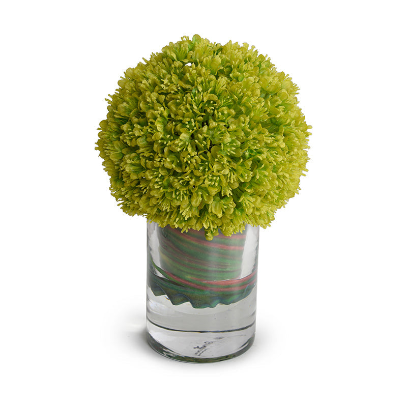 Allium in Glass 9"H Green