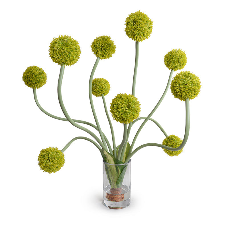 Allium Arrangement in Glass 32"H - Large Flowers Lime green