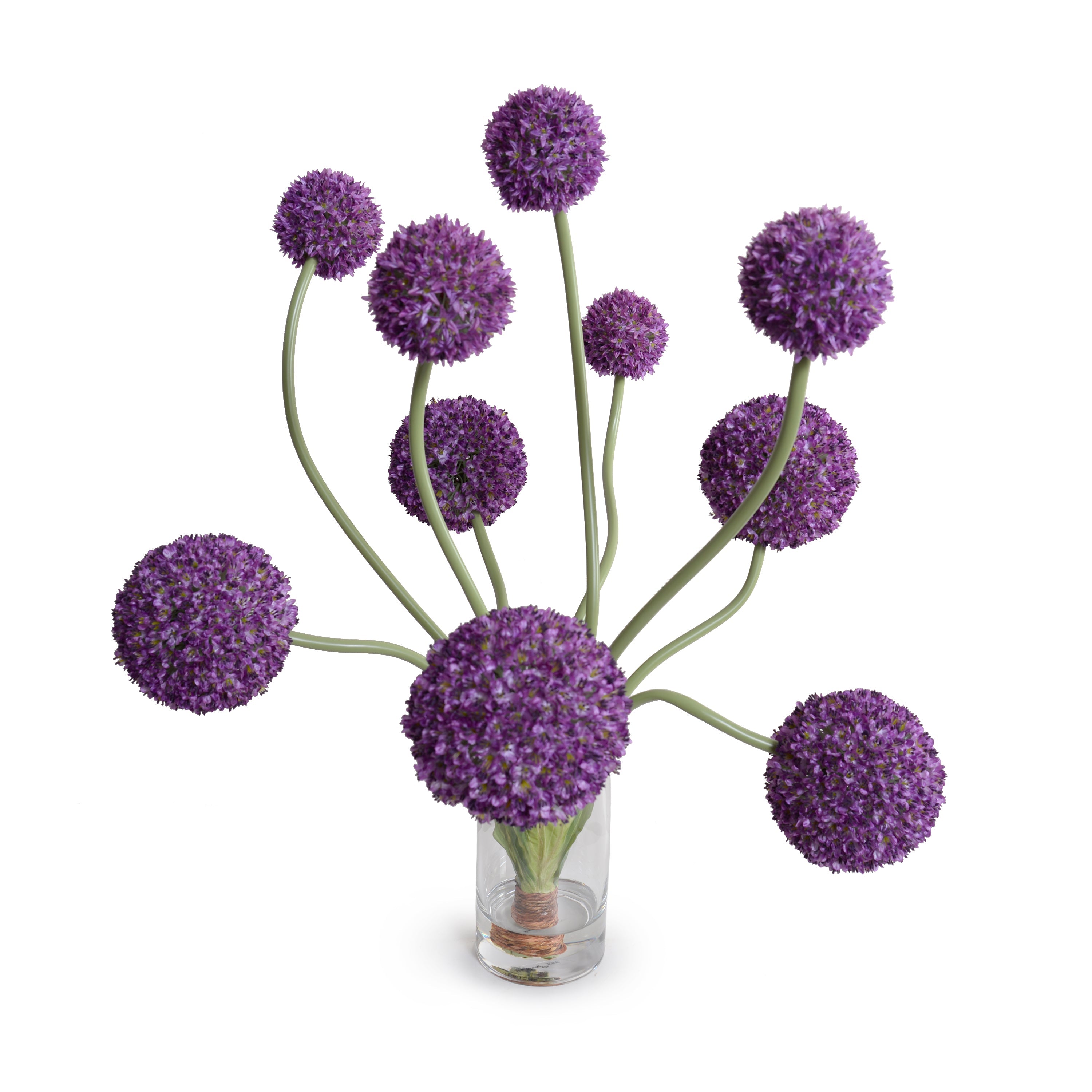Allium Arrangement in Glass 32"H - Med/Lg Flowers Orchid (Purple)