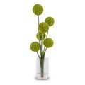 Allium Arrangement in Glass Oval 42"H Green