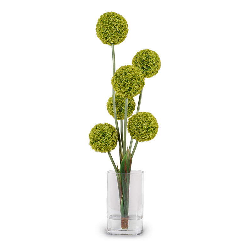 Allium Arrangement in Glass Oval 42"H Green