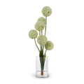 Allium Arrangement in Glass Oval 42"H White