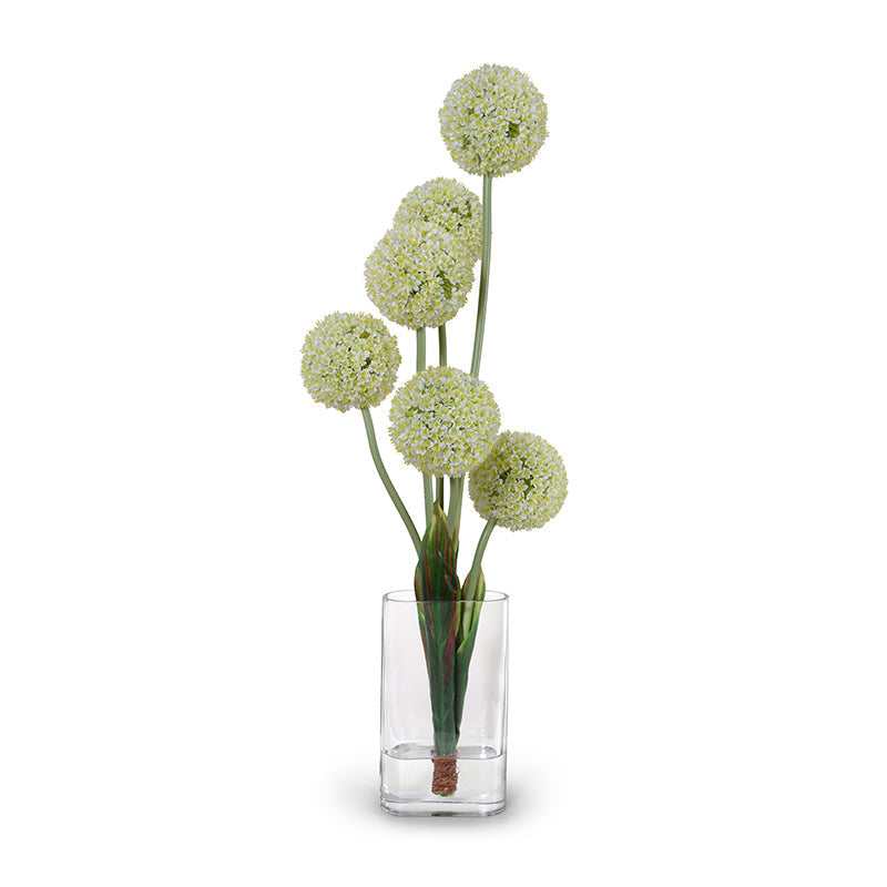 Allium Arrangement in Glass Oval 42"H White