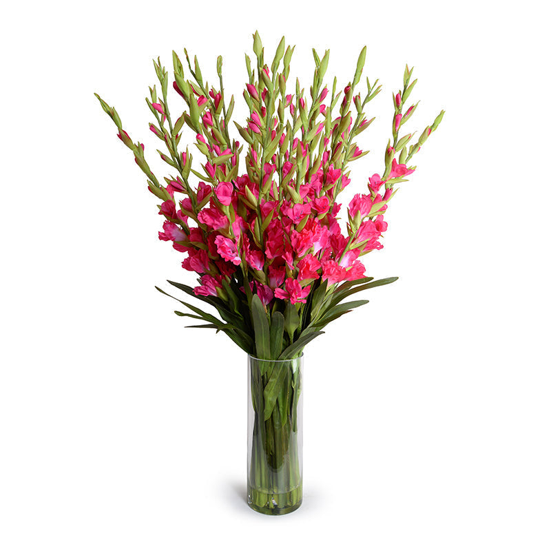 Gladiolus Arrangement in Glass 45"H Fuchsia