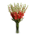 Gladiolus Arrangement in Glass 45"H Red