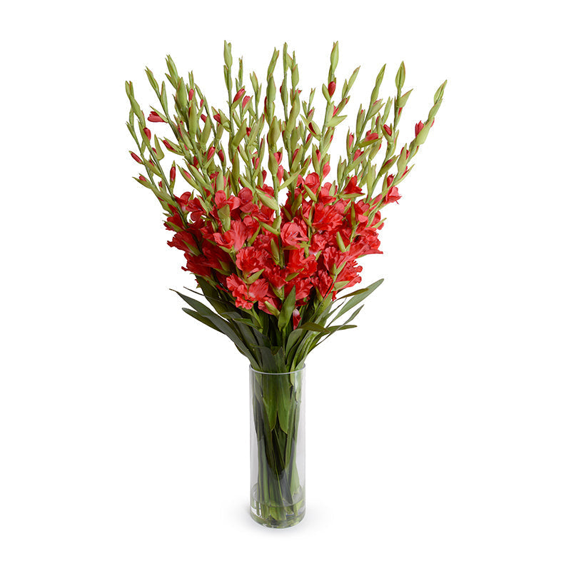 Gladiolus Arrangement in Glass 45"H Red