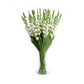 Gladiolus Arrangement in Glass 45"H White