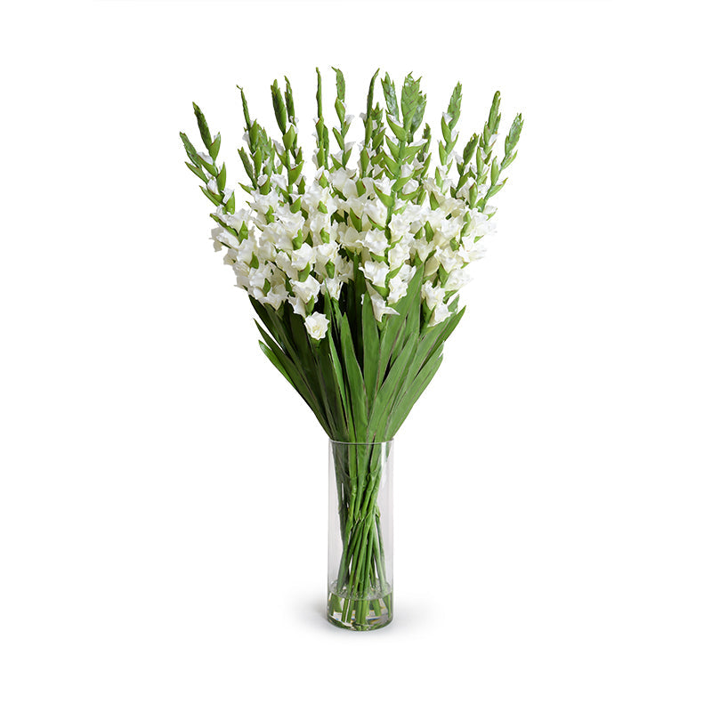 Gladiolus Arrangement in Glass 45"H White