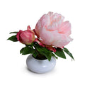 Peony Cutting in Porcelain Bowl 7"H Pink