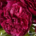 Peony Stem x2 in Glass 18"H Fuchsia